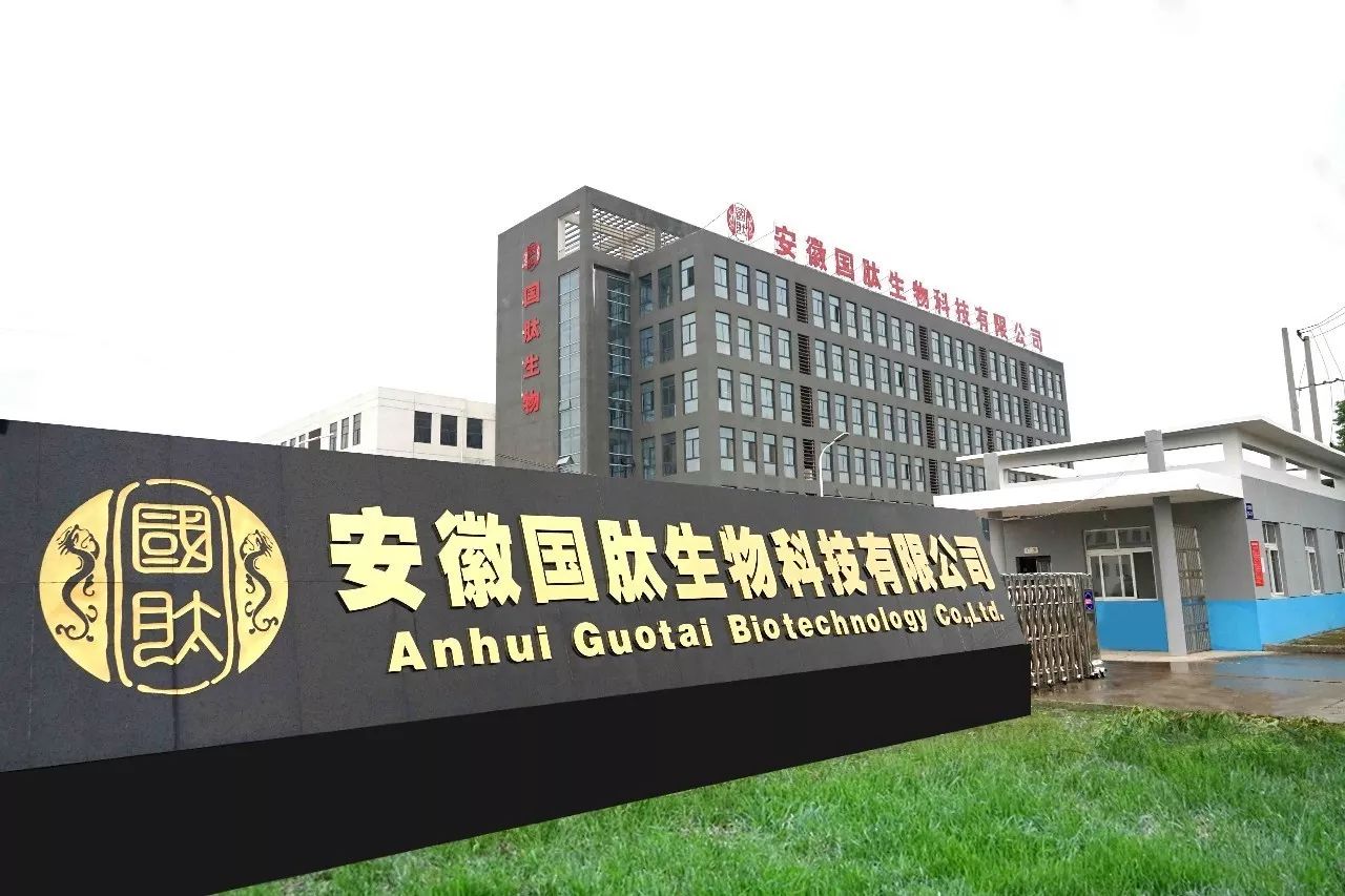 合肥流明新能源科技有限公司，合肥流明新能源科技有限公司，引領綠色能源新篇章