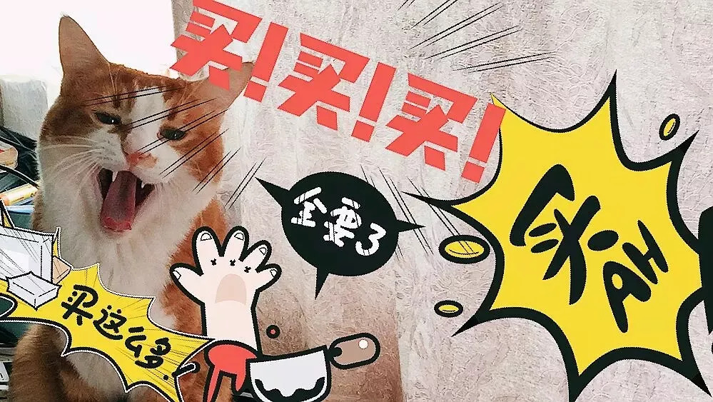 澳門正版管家婆四不像，澳門正版管家婆四不像——獨家揭秘標題
