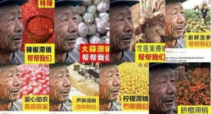 蜂蜜最新銷售方法，創(chuàng)新策略與多渠道營(yíng)銷，蜂蜜銷售新策略，創(chuàng)新方法與多渠道營(yíng)銷之道