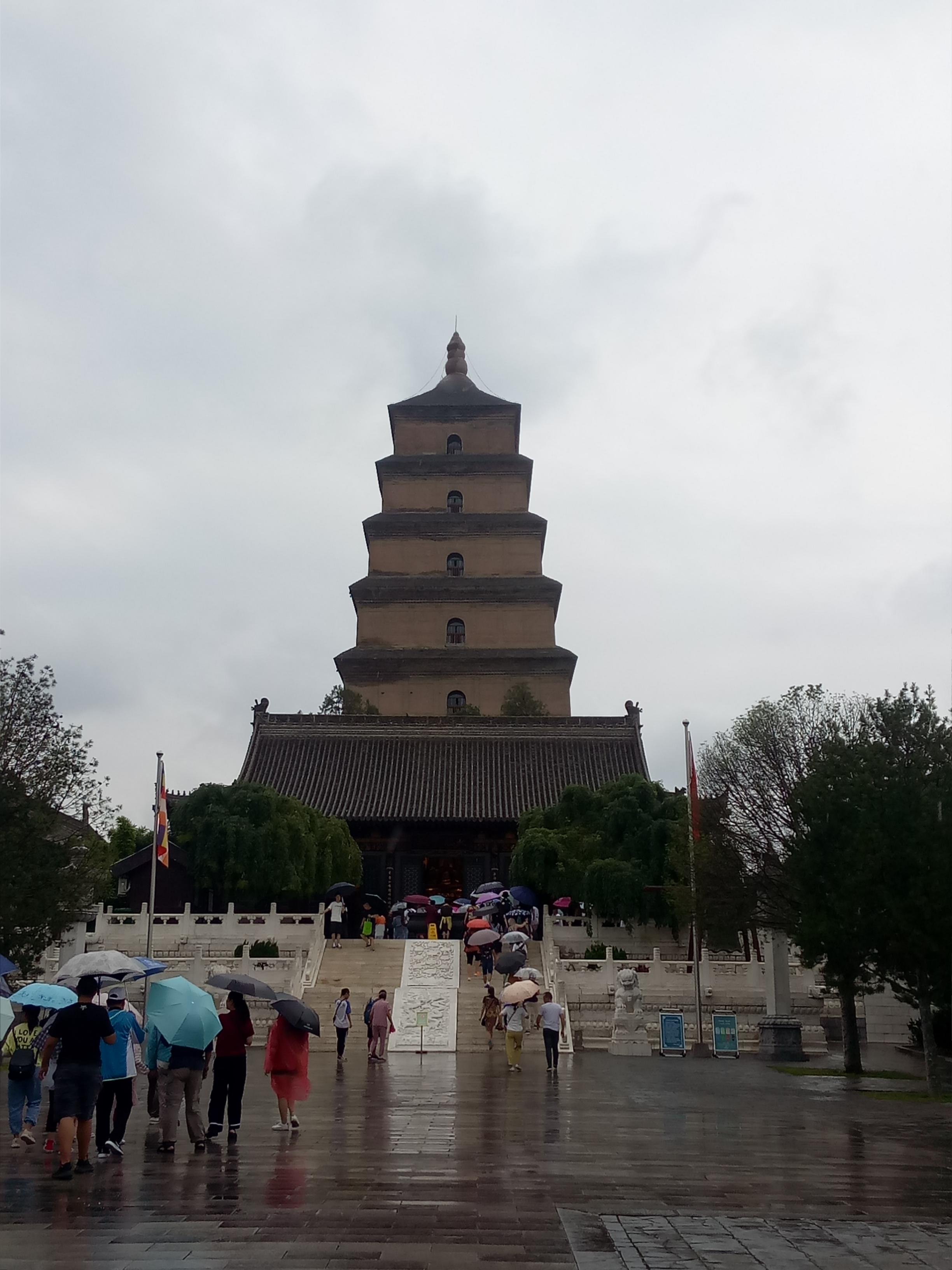 唐大慈恩寺最新新聞，唐大慈恩寺最新動態(tài)報道