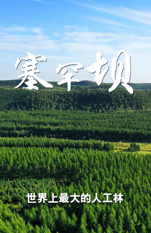 2024年12月26日 第29頁