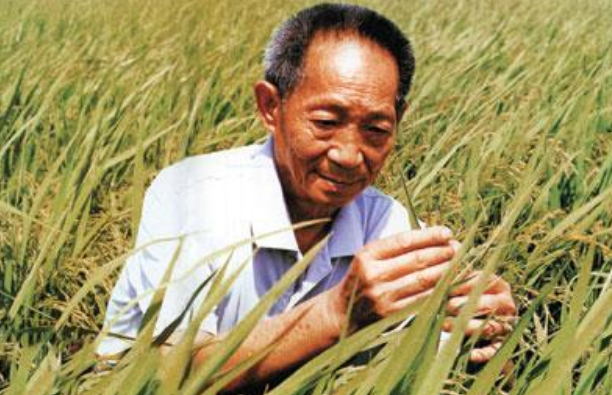 揭秘超強(qiáng)小神農(nóng)最新章節(jié)，草藥界的少年奇才如何再創(chuàng)輝煌？，小神農(nóng)傳奇，草藥少年的輝煌逆襲之路