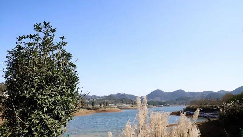 巖鷹山村最新消息，巖鷹山村最新動態(tài)更新