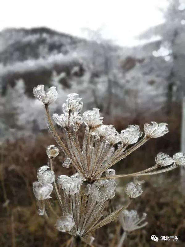 武漢天氣初雪最新消息，武漢初雪來臨，最新天氣消息更新