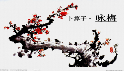 澳門正版一句梅花詩珍品，澳門正版一句梅花詩珍品賞析