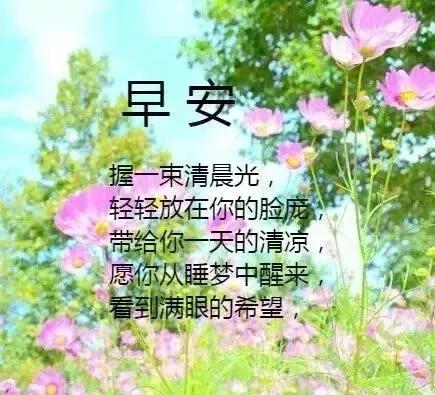 最新早安隆回完整版歌詞賞析，溫情喚醒美好清晨，早安隆回，喚醒晨光，溫情歌詞賞析