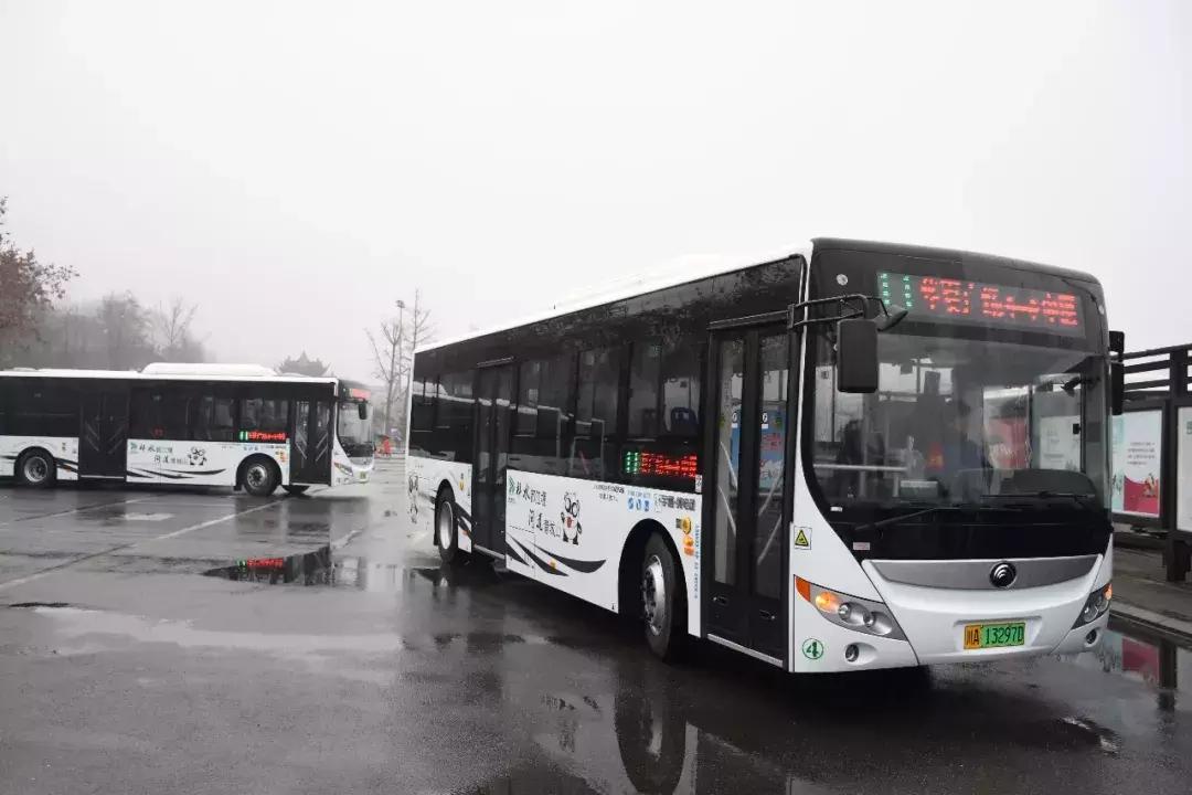 小型車推薦新能源汽車，精選小型新能源汽車推薦，綠色出行新選擇