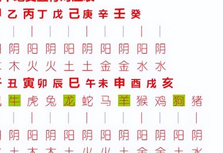 三肖主六碼三肖，三肖主六碼三肖，揭秘生肖中的奧秘組合
