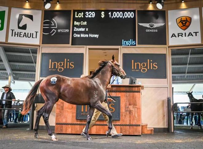 香港特馬最正確免費資料,香港碼的全部免費的資料，香港特馬資料與免費資料的真相，揭露違法犯罪行為