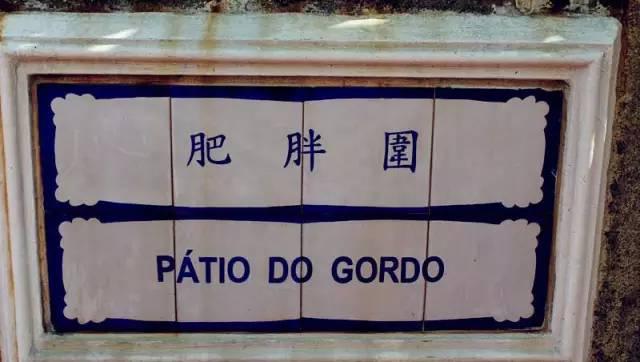 澳門特準(zhǔn)一碼,澳門特準(zhǔn)一碼中獎(jiǎng)，澳門特準(zhǔn)一碼中獎(jiǎng)揭秘