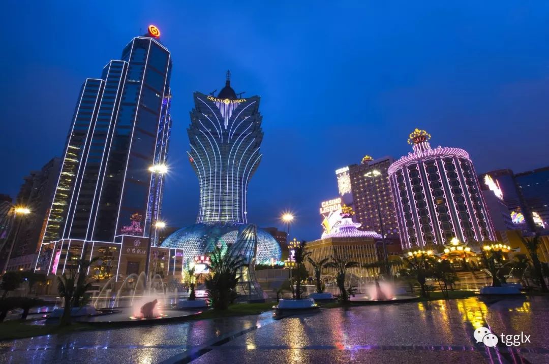 新澳門天天資料,新澳門天天資料狠愎自用代表什么生肖，揭秘新澳門天天資料背后的生肖秘密，狠愎自用與哪些生肖有關(guān)？