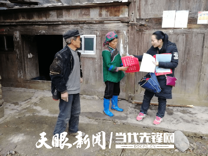 登江市干部考察公示最新，登江市干部考察公示更新