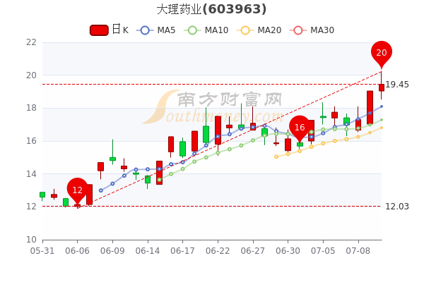 大理藥業(yè)最新消息，大理藥業(yè)最新動態(tài)解析