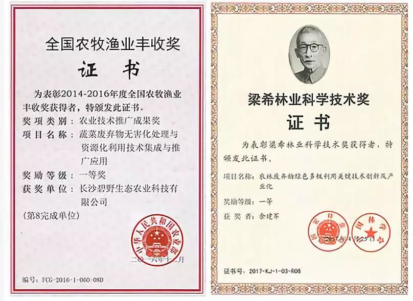 新能源丙級(jí)資質(zhì)，開啟綠色發(fā)展的鑰匙，新能源丙級(jí)資質(zhì)，開啟綠色發(fā)展的門戶