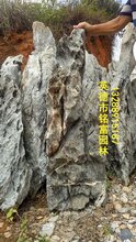 綿陽砂石廠價格表最新，全面了解砂石材料及價格走勢，綿陽砂石廠最新價格表，全面解析砂石材料及其價格走勢
