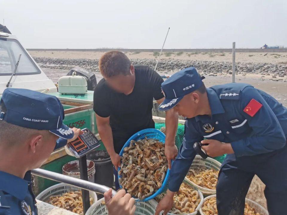 揭秘天津新能源工作艇供應商的綠色力量與創(chuàng)新科技，天津新能源工作艇創(chuàng)新先鋒，綠色動力科技引領未來