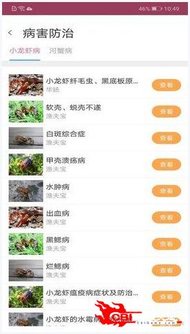 惠澤天下一688hznet書簽,惠澤天下免費(fèi)資料大全查詢，惠澤天下資料查詢與書簽服務(wù)，免費(fèi)資源大全