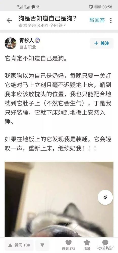 揭秘財(cái)神爺1496666.com？騙局，網(wǎng)絡(luò)陷阱背后的真相與危害，1496666.com揭秘，財(cái)神爺背后網(wǎng)絡(luò)騙局真相與風(fēng)險(xiǎn)