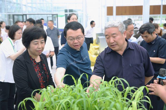 溫福高鐵最新進(jìn)展，2023年建設(shè)情況及未來(lái)展望，溫福高鐵2023年建設(shè)動(dòng)態(tài)與未來(lái)藍(lán)圖展望