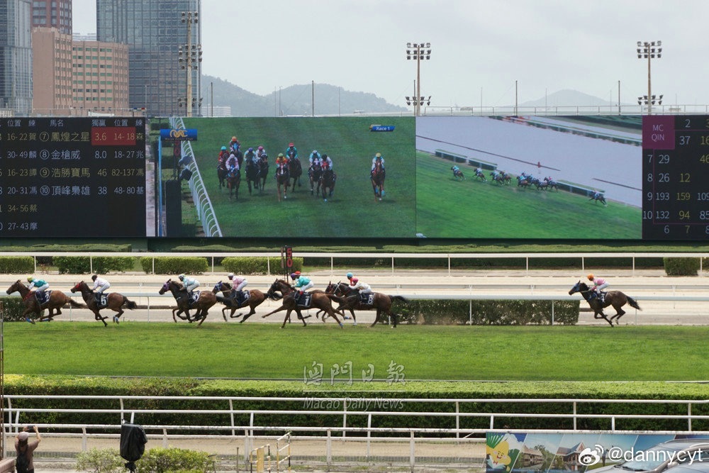2021年澳門跑馬圖自動(dòng)更新，澳門跑馬圖自動(dòng)更新全景圖（實(shí)時(shí)更新）