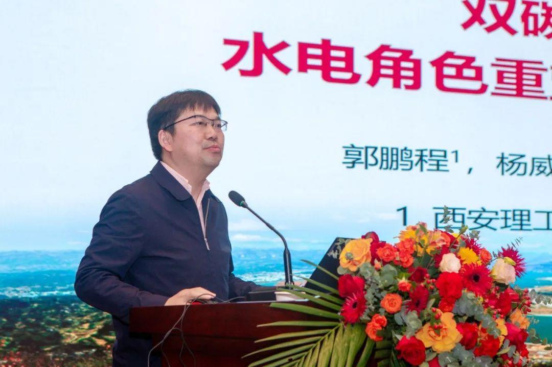 西北新能源公司，西北新能源公司，綠色能源發(fā)展的先鋒力量